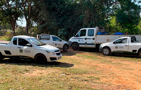 Vida Ambiental